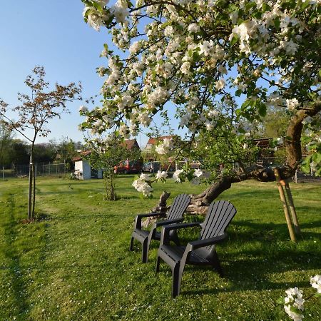 Holiday Home In Bergen Op Zoom With Garden Exterior photo