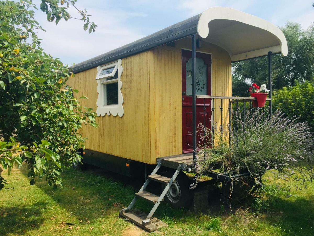 Holiday Home In Bergen Op Zoom With Garden Exterior photo